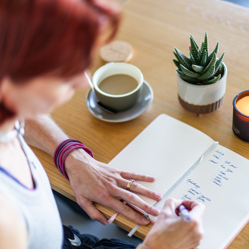 Garden therapy shed in the Forest of Dean used for couples therapy and life coaching